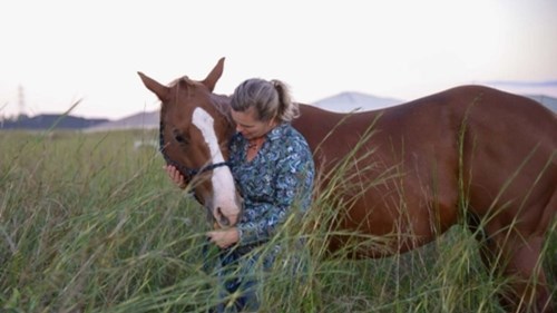Equine Therapy with ESP Tasmania