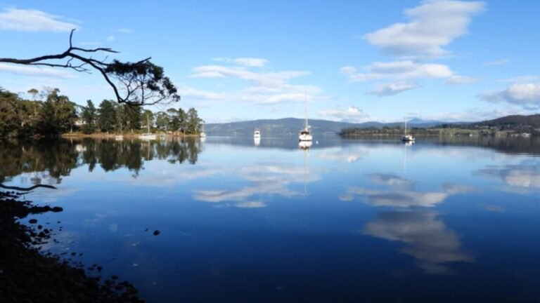 Provider Spotlight: Gulkula2 Wildlife Retreat in Tasmania