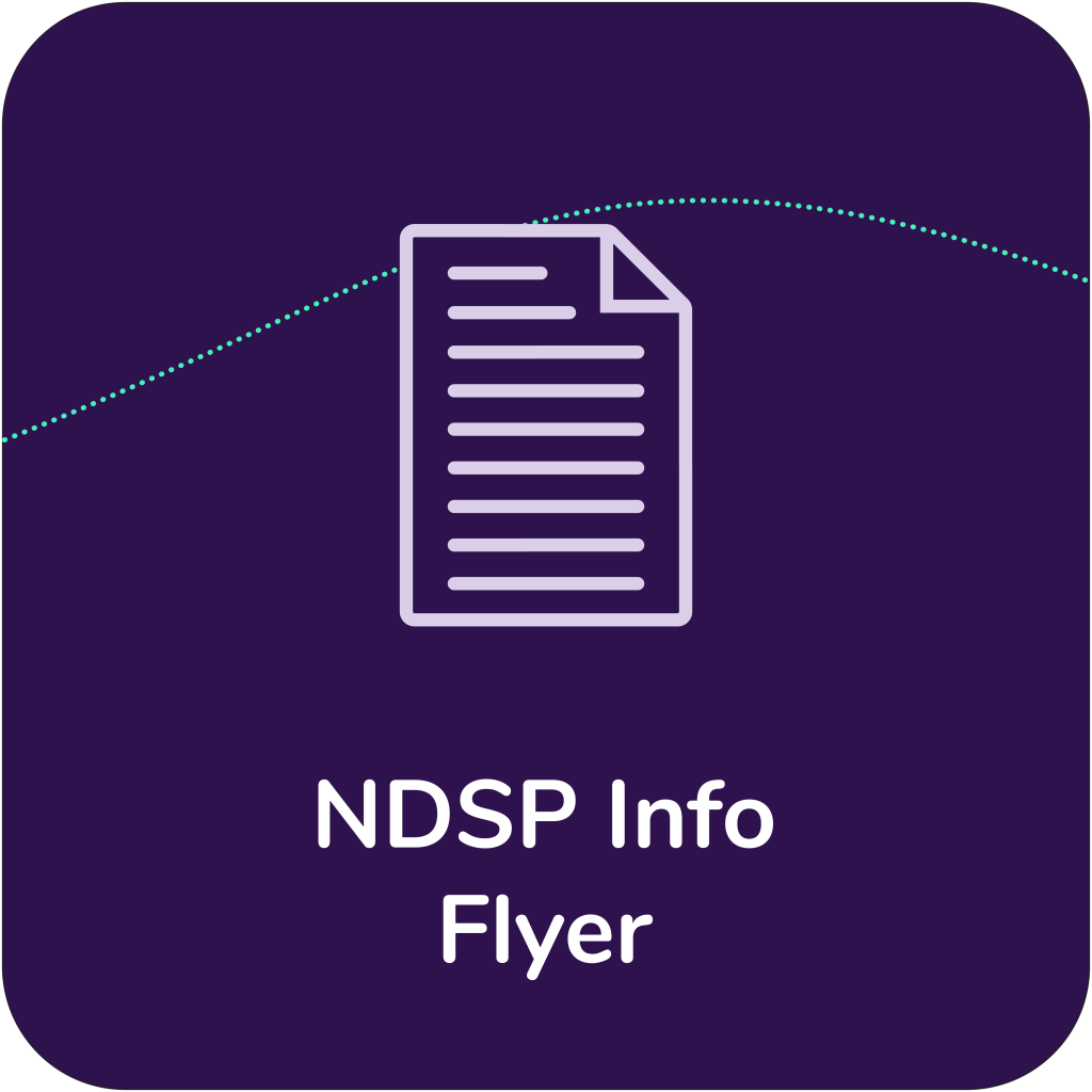 An icon of a document with the text NDSP Info Flyer written under it