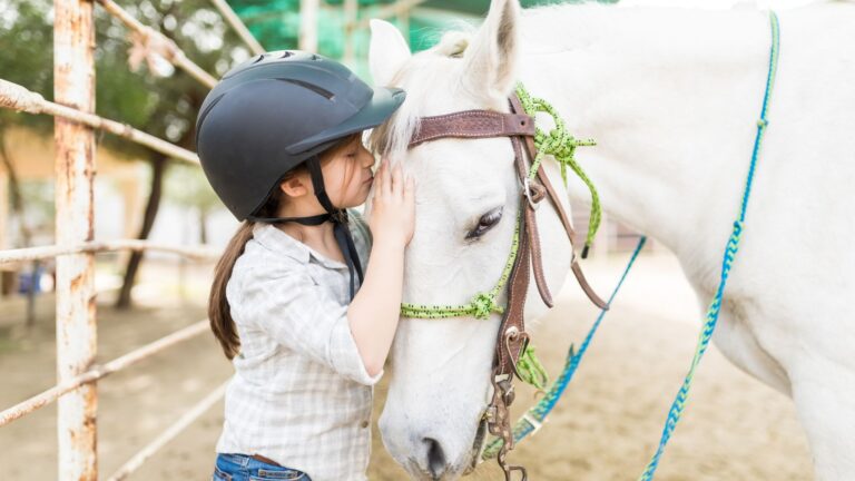 NDIS Funding: Equine Assisted Services NDIS Funding: Equine Assisted Services