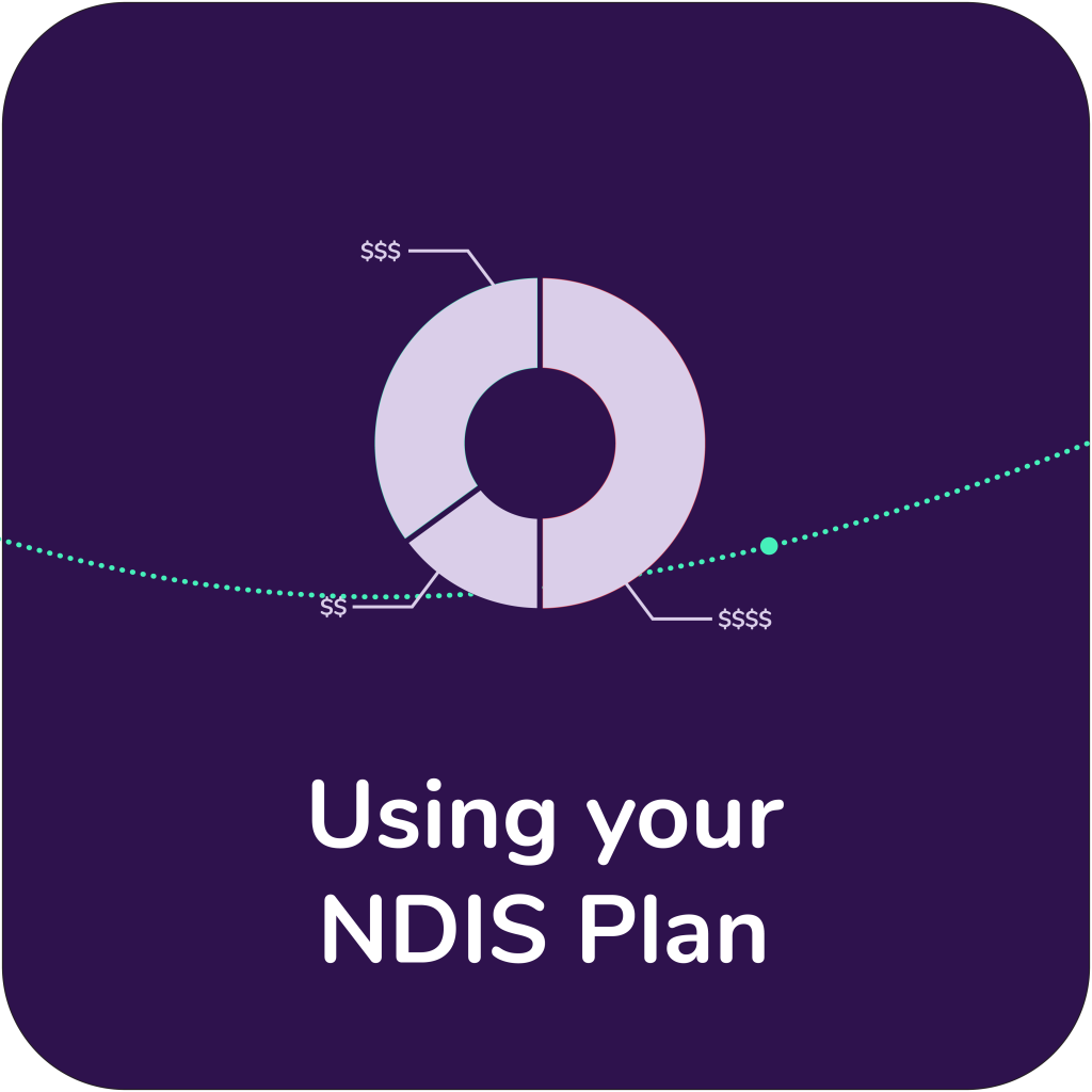 An icon of a pie chart with the text Using your NDIS Plan written under it