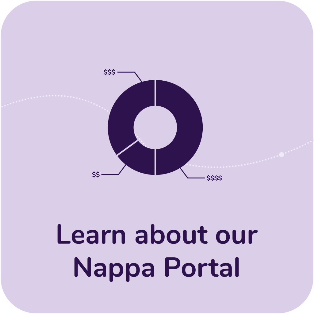 An icon of a pie chart with the text Learn about our Nappa Portal under it
